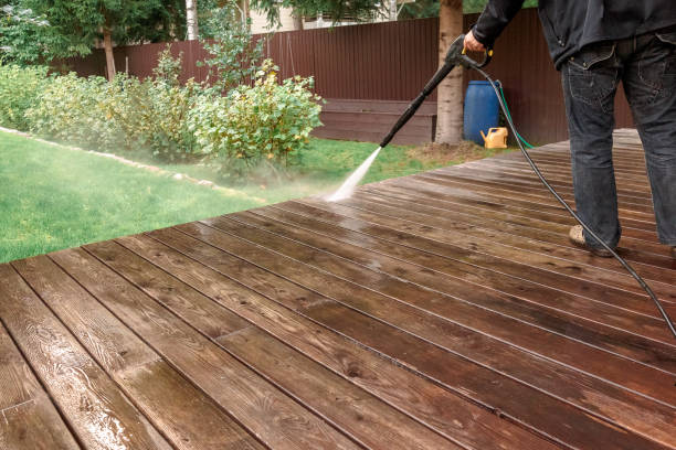 Best Driveway Pressure Washing  in Hollywood, FL